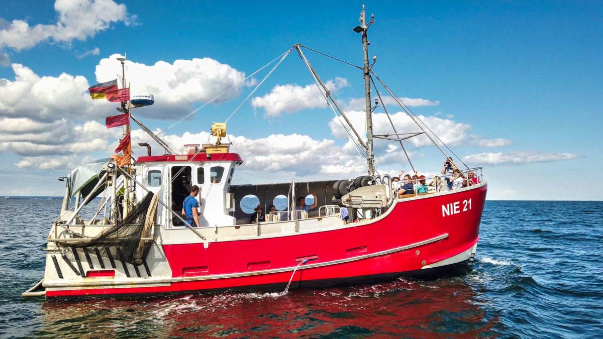 Fisch Vom Kutter Preise Travemünde In Niendorf Fisch vom Kutter kaufen - frischer geht´s nicht!