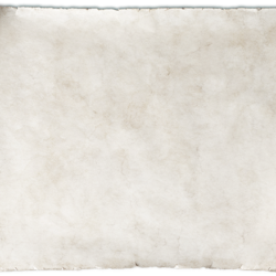 fotolia / MIGUEL GARCIA SAAVED