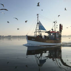 schuppdenfisch-kutter2 Peter Dietze